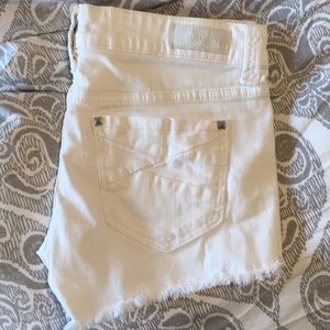 Daytrip shorts